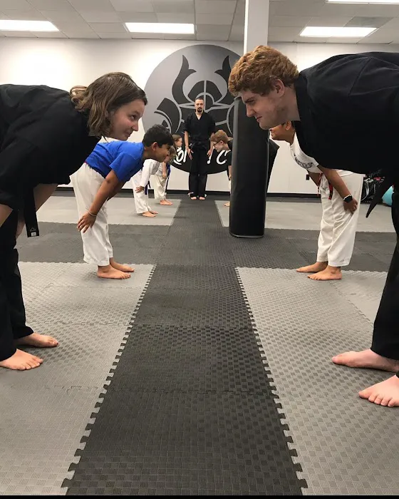 Ronin Martial Arts Picture 3