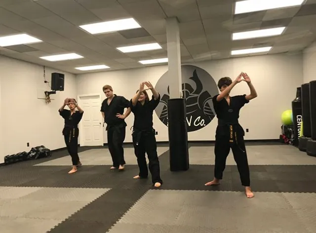 Ronin Martial Arts Picture 9