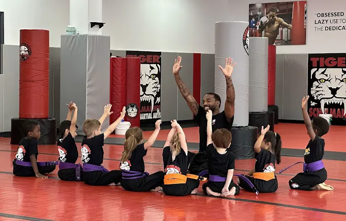 Tiger Schulmanns Martial Arts N. Plainfield, NJ Picture 3