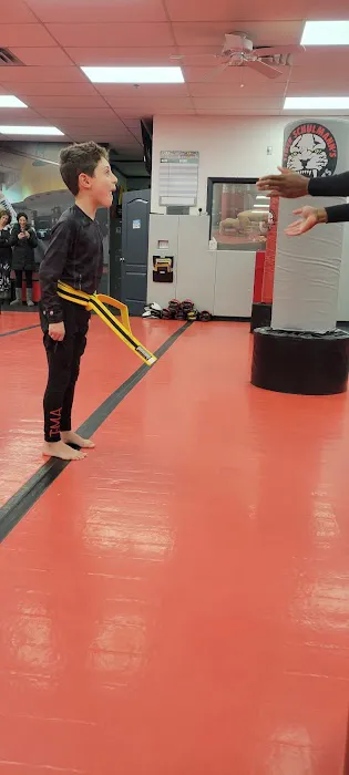 Tiger Schulmanns Martial Arts N. Plainfield, NJ Picture 1