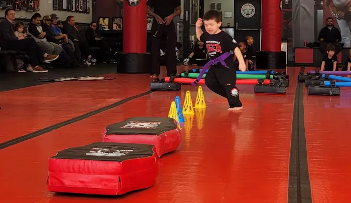 Tiger Schulmanns Martial Arts N. Plainfield, NJ Picture 6