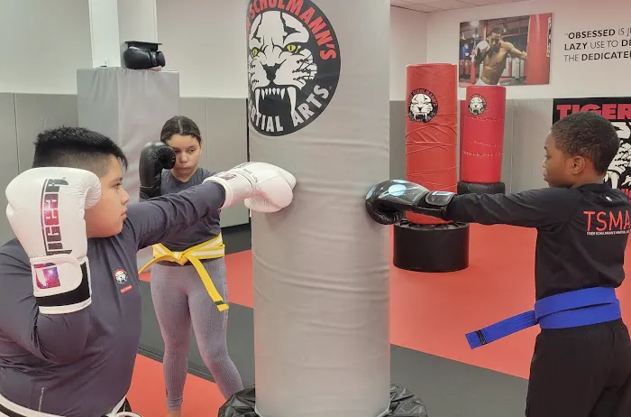 Tiger Schulmanns Martial Arts N. Plainfield, NJ Picture 5