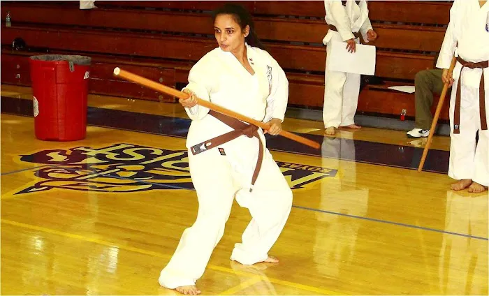 Thaxton Martial Arts Picture 8