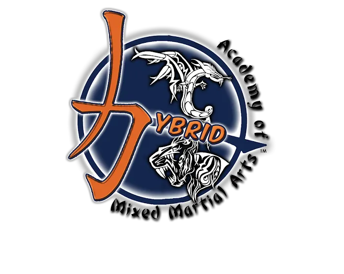 Hybrid Academy of Mixed Martial Arts Picture 3