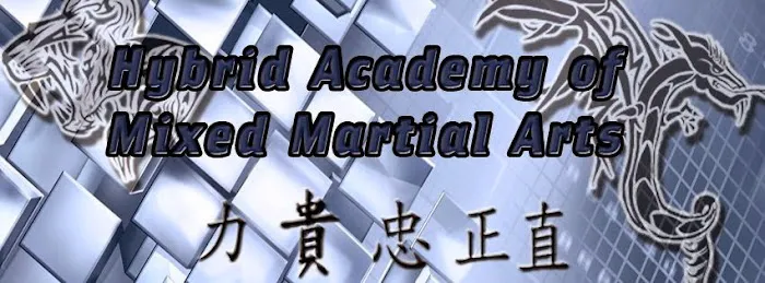 Hybrid Academy of Mixed Martial Arts Picture 1