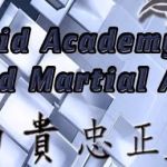 Hybrid Academy of Mixed Martial Arts