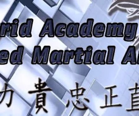 Hybrid Academy of Mixed Martial Arts