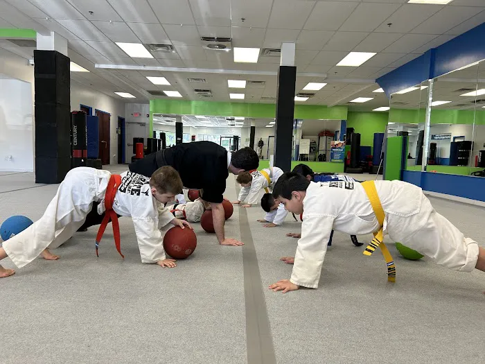USA Karate Academy Picture 5