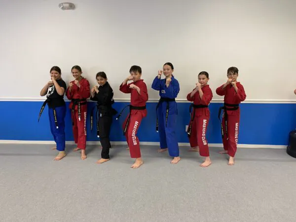 USA Karate Academy Picture 3