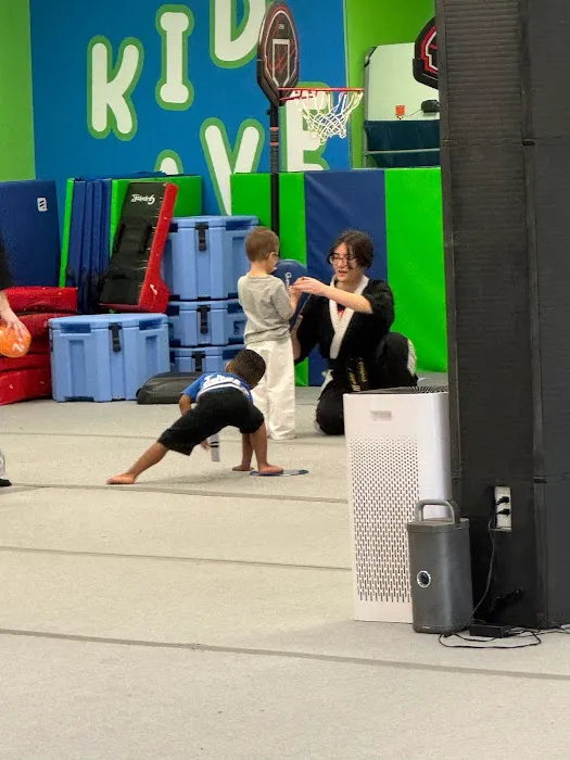 USA Karate Academy Picture 1