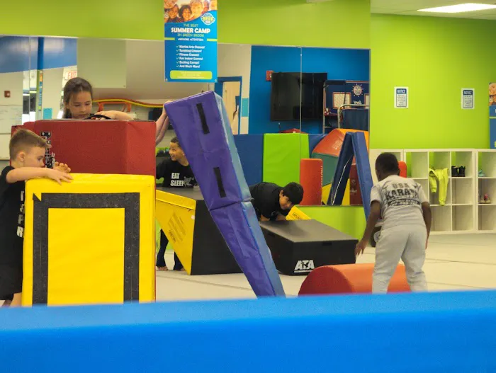 USA Karate Academy Picture 2