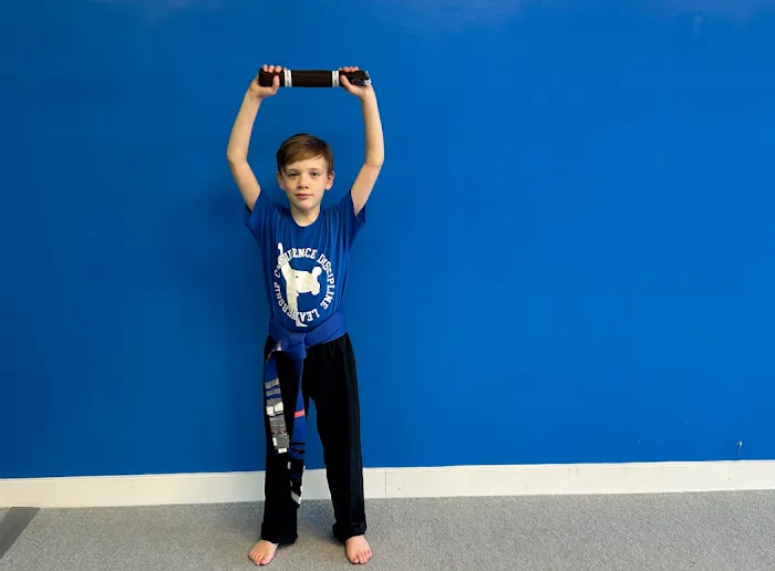USA Karate Academy Picture 10