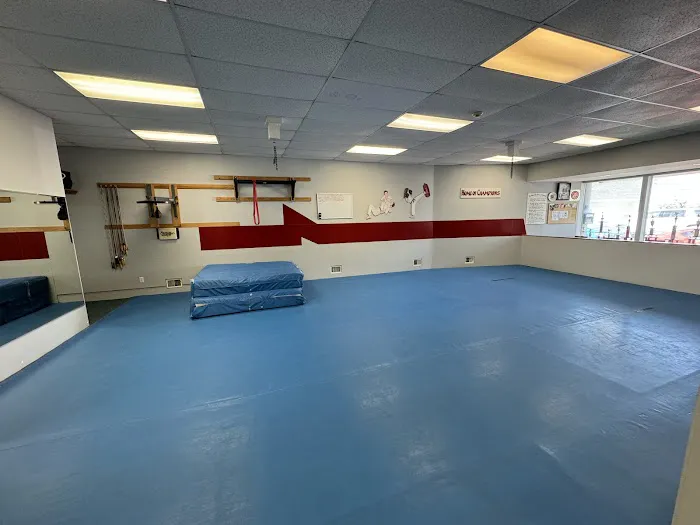 Matawan School of Martial Arts Picture 1