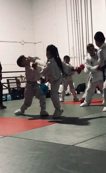 Traditional Karate Center - Matawan Gojukan Picture 3