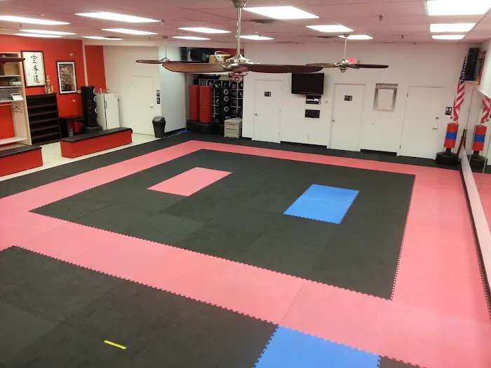 Traditional Karate Center - Matawan Gojukan Picture 10