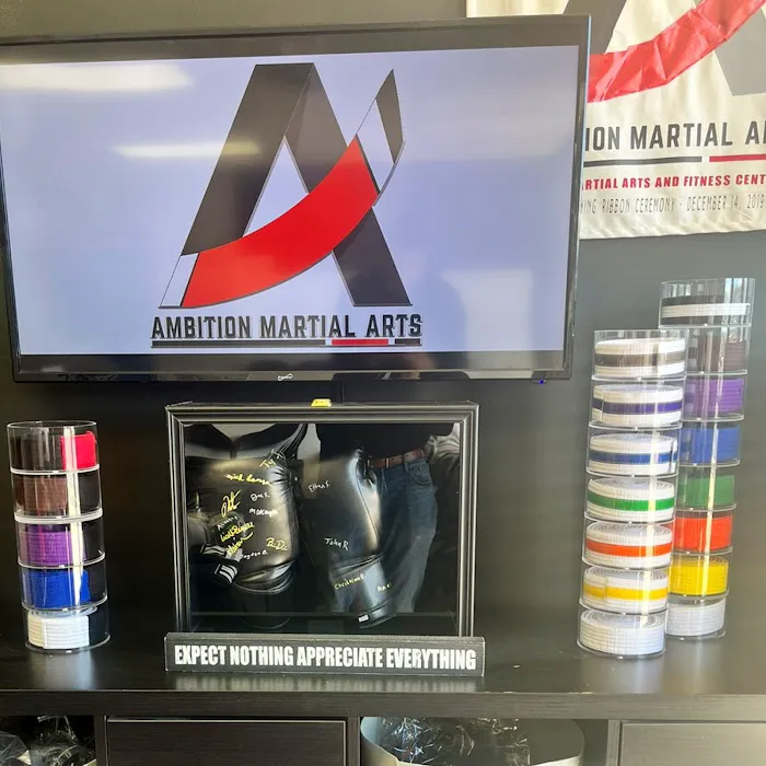 Ambition Martial Arts of Matawan / Old bridge Picture 5