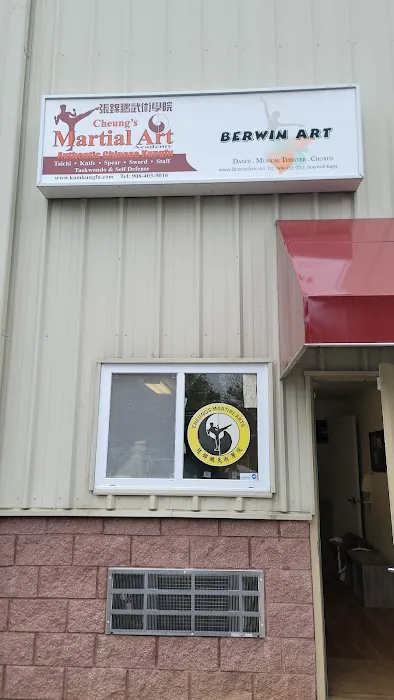Cheung's Martial Arts Academy Picture 1