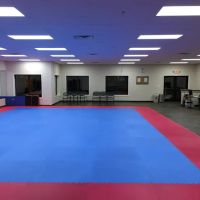 Master Lim’s Happy Martial Arts ico