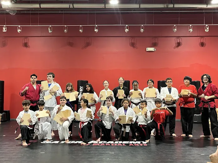 Satori Academy of Martial Arts Picture 1