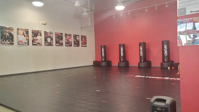 Satori Academy of Martial Arts Picture 2