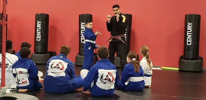 Satori Academy of Martial Arts Picture 4