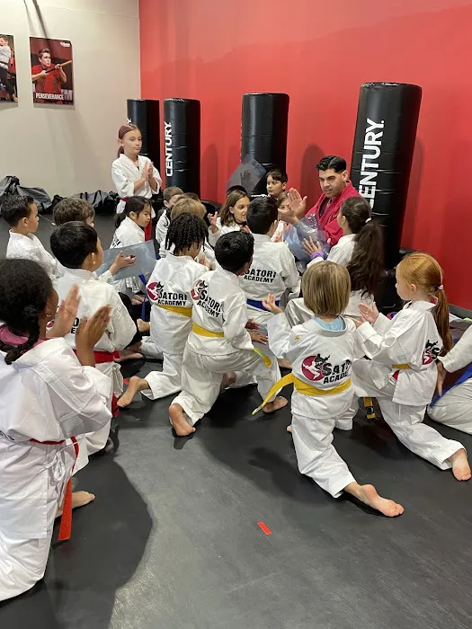 Satori Academy of Martial Arts Picture 8