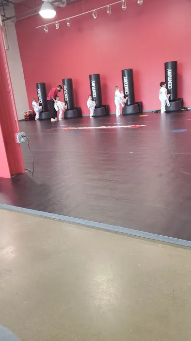 Satori Academy of Martial Arts Picture 9