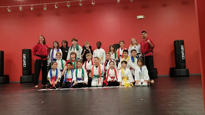 Satori Academy of Martial Arts Picture 5