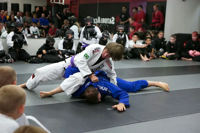 Satori Academy of Martial Arts Picture 10