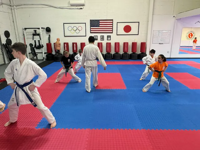 Monmouth Karate Academy Picture 5