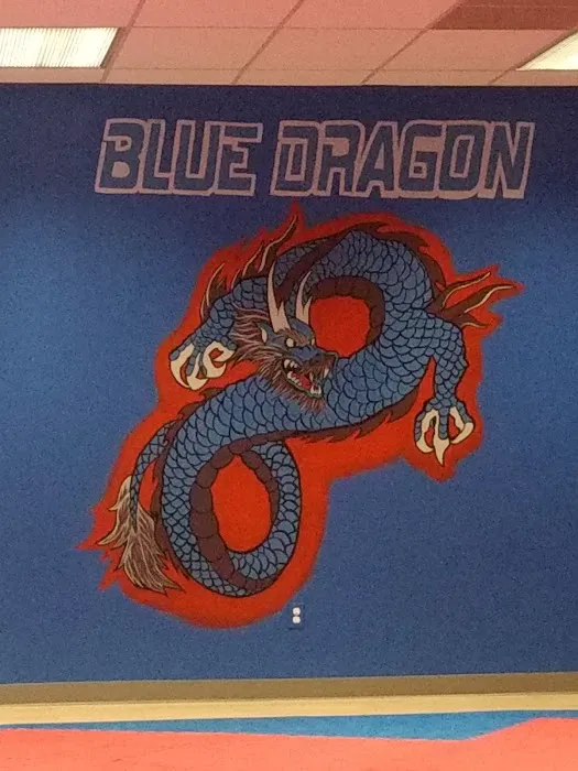 Blue Dragon Martial Arts Picture 1