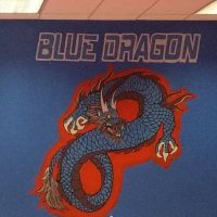 Blue Dragon Martial Arts ico