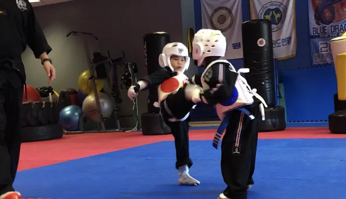 Blue Dragon Martial Arts Picture 5