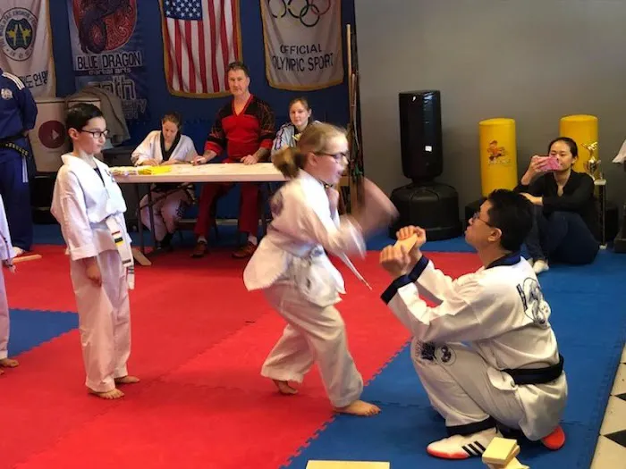 Blue Dragon Martial Arts Picture 4