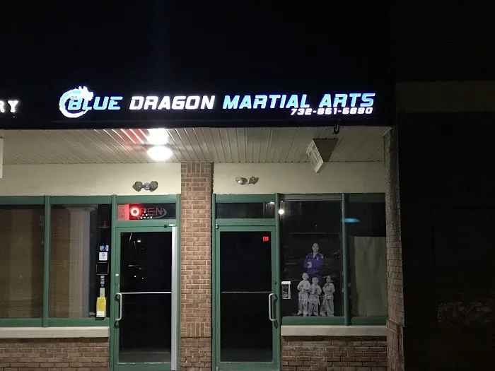 Blue Dragon Martial Arts Picture 10