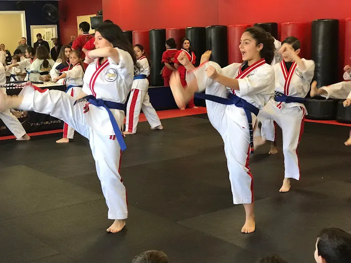 Flow Martial Arts - Englishtown Picture 1