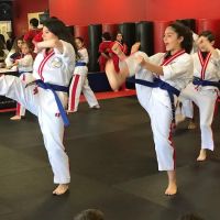 Flow Martial Arts - Englishtown ico