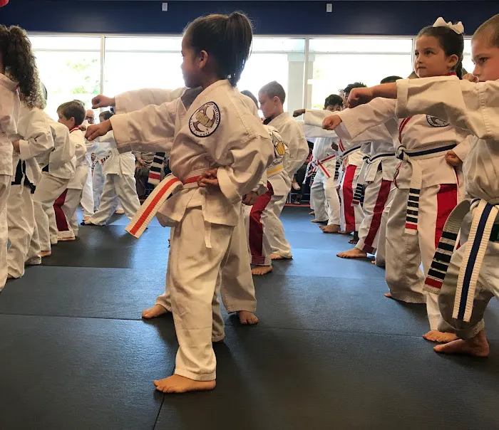 Flow Martial Arts - Englishtown Picture 2