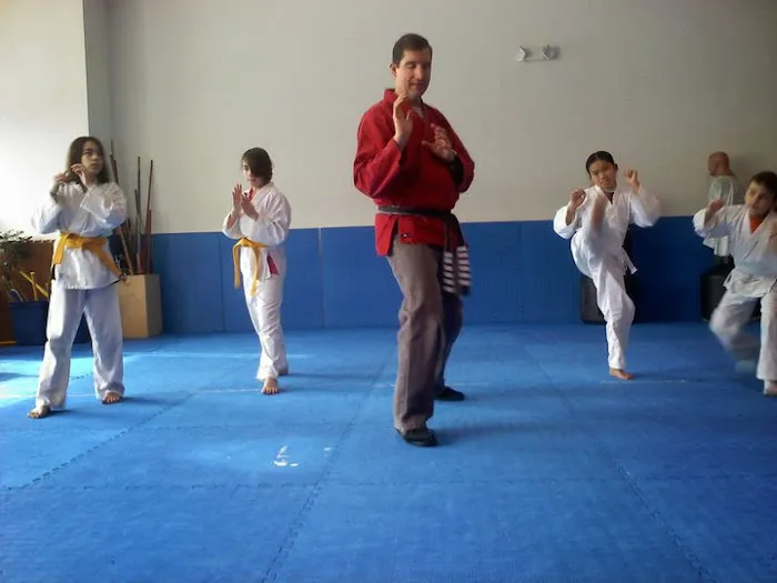 Brill's Karate Picture 3