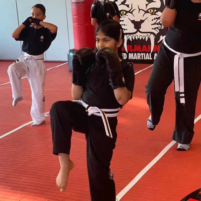 Tiger Schulmann's Martial Arts (East Brunswick, NJ) Picture 8