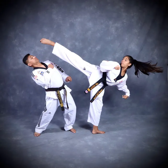 MARTIAL ARTS DOJANG Picture 2