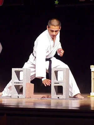 MARTIAL ARTS DOJANG Picture 3