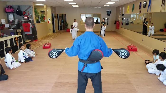 Brunswick's Martial Arts Academy Picture 2
