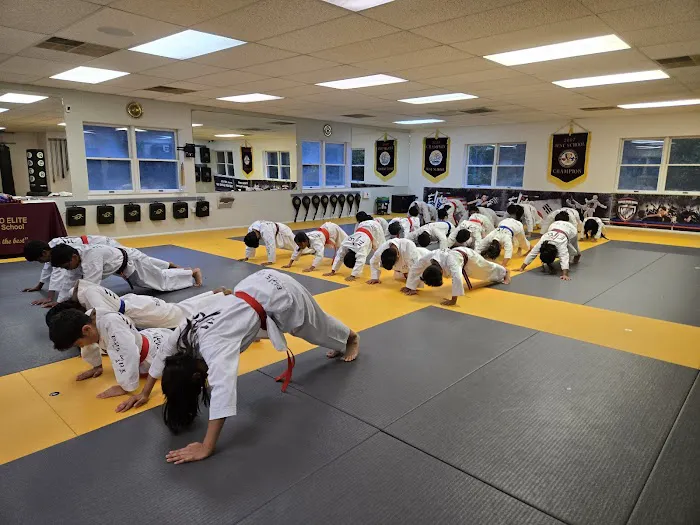 Taekwondo Elite Picture 2
