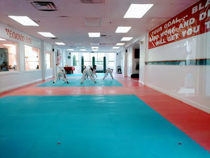 Taekwondo Elite Picture 6