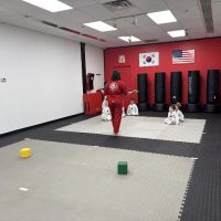 Master Park's Black Belt America of Manasquan ico