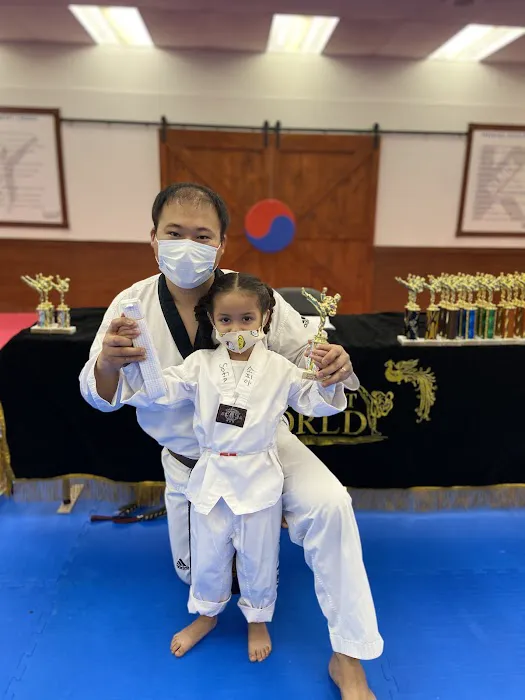 SOMERSET TAEKWONDO Picture 1