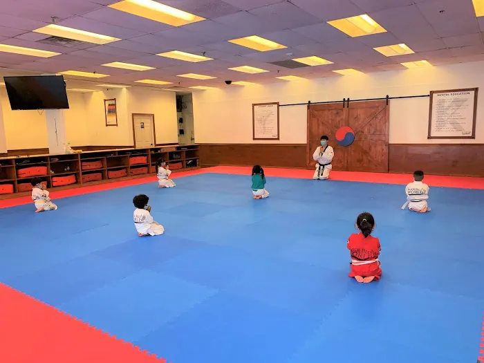 SOMERSET TAEKWONDO Picture 5