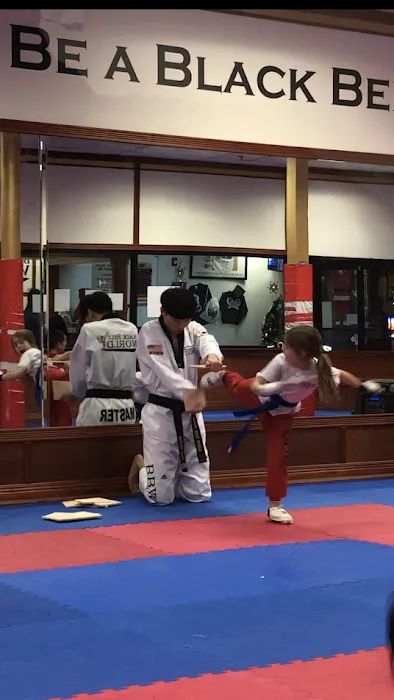 SOMERSET TAEKWONDO Picture 7