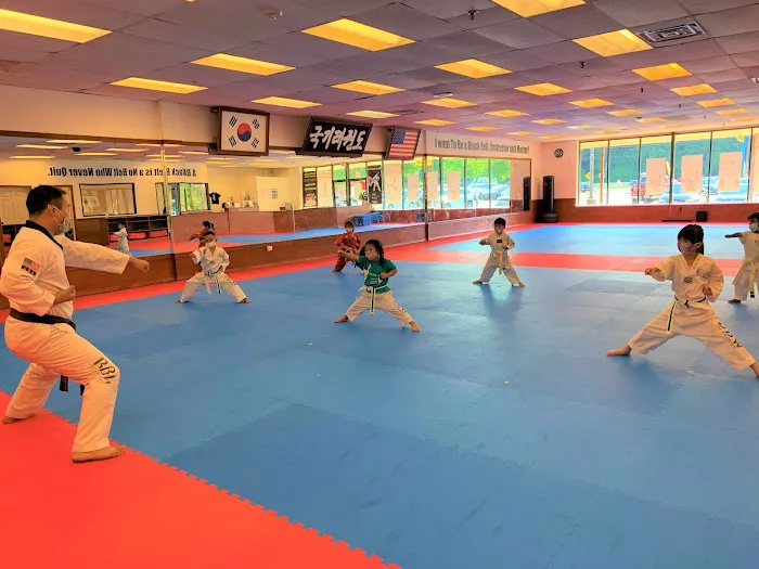 SOMERSET TAEKWONDO Picture 8